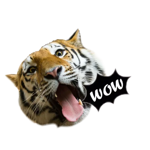 😳 Стикер «Tigers love» для Telegram