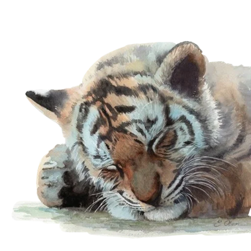 😴 Стикер «Tigers love» для Telegram