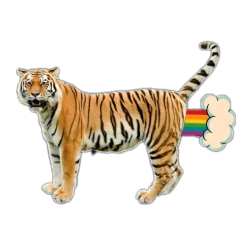 😅 Стикер «Tigers love» для Telegram