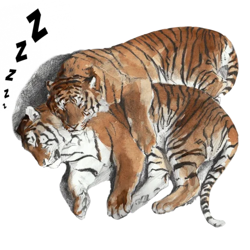 😴 Стикер «Tigers love» для Telegram