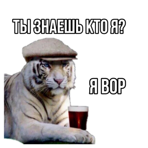 ⚫ Стикер «Тигр пошлит» для Telegram
