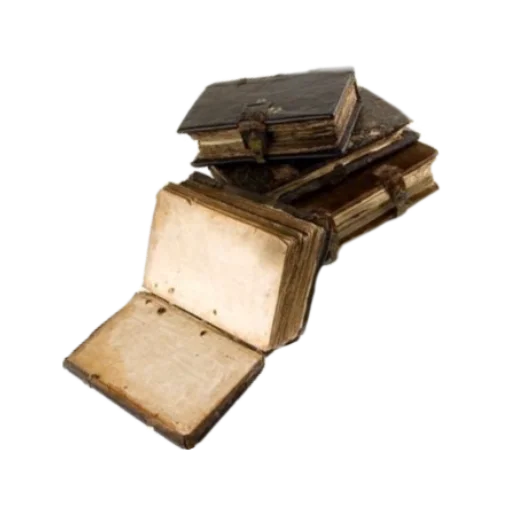 📚 Стикер «nydelig» для Telegram