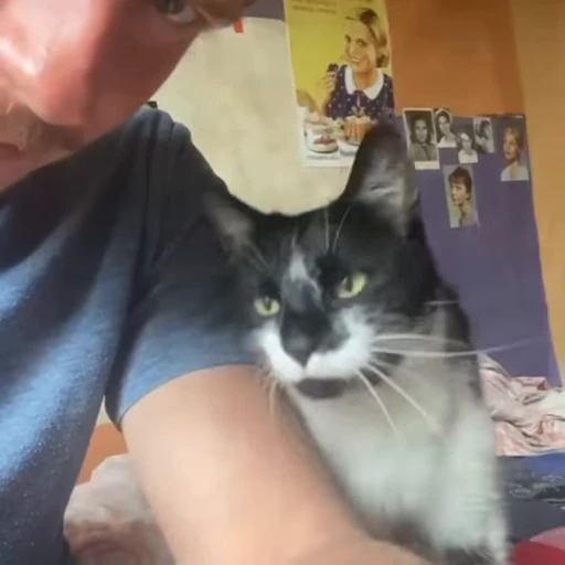 🐈 Стикер «Тихон Жизневский» для Telegram
