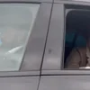 Стикер 29 Тихон