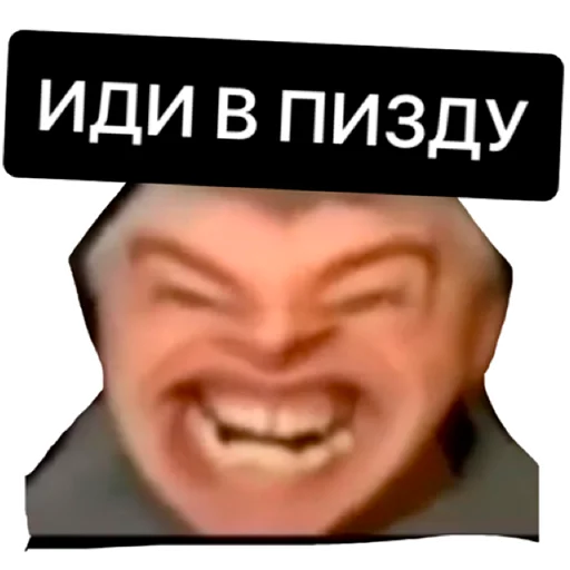 🖕 Стикер «тик ток из лайф» для Telegram