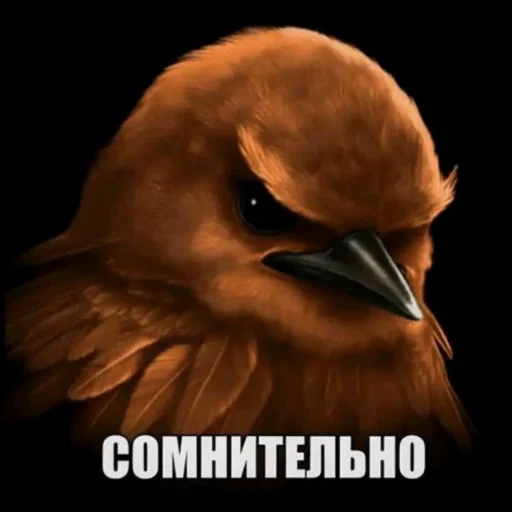 🫤 Стикер «вряд ли птички» для Telegram
