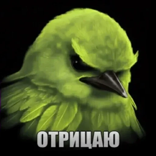 🫤 Стикер «вряд ли птички» для Telegram