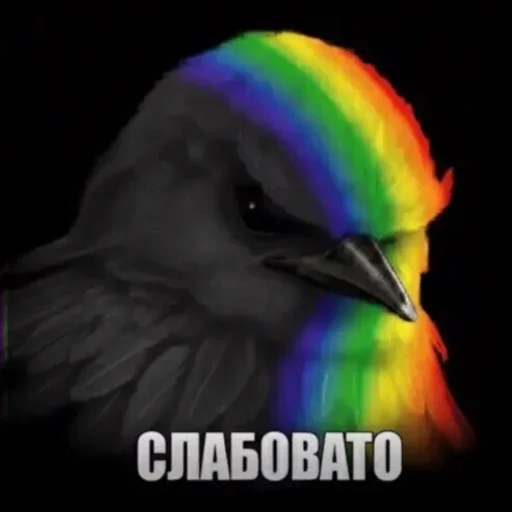 🫤 Стикер «вряд ли птички» для Telegram