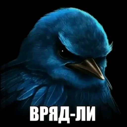 Стикерпак вряд ли птички для Telegram