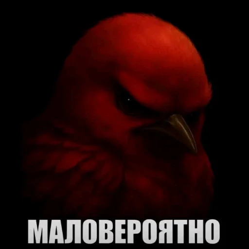 🫤 Стикер «вряд ли птички» для Telegram