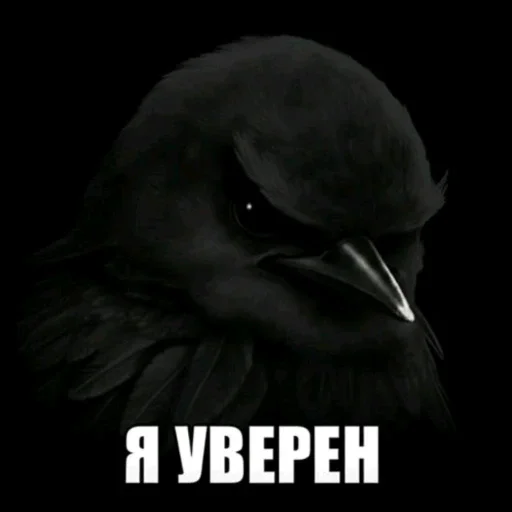 🫤 Стикер «вряд ли птички» для Telegram