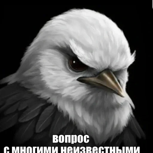 🫤 Стикер «вряд ли птички» для Telegram