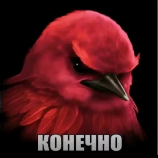 🫤 Стикер «вряд ли птички» для Telegram