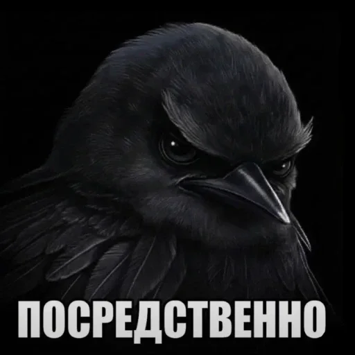 🫤 Стикер «вряд ли птички» для Telegram