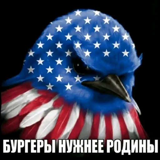 🫤 Стикер «вряд ли птички» для Telegram