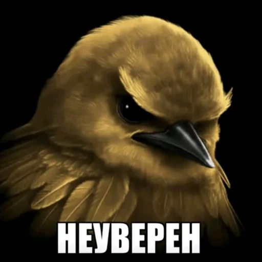 🫤 Стикер «вряд ли птички» для Telegram