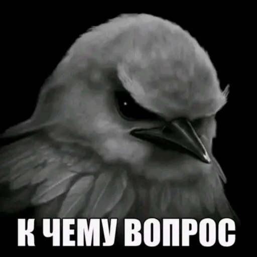 🫤 Стикер «вряд ли птички» для Telegram