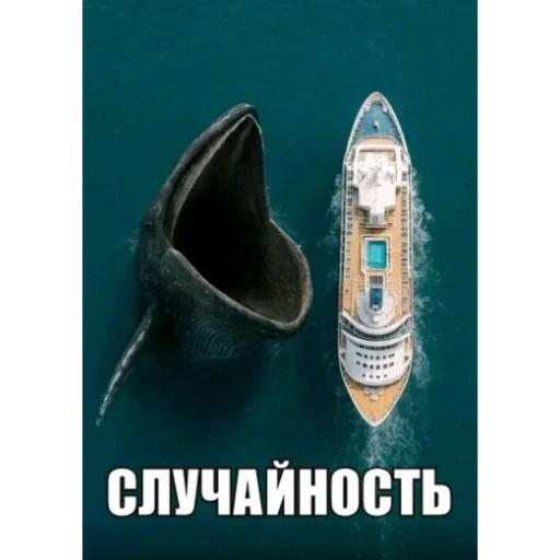 🫤 Стикер «вряд ли птички» для Telegram