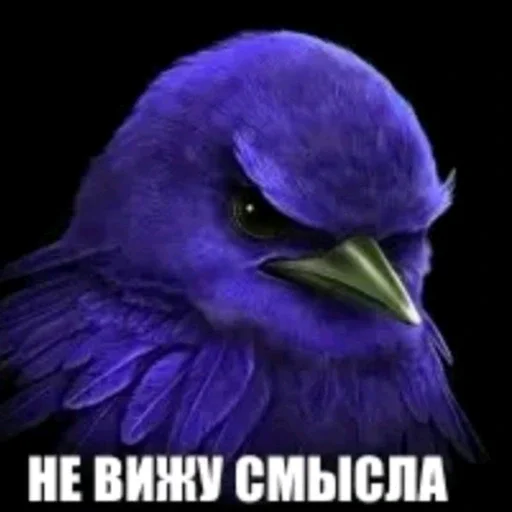 🫤 Стикер «вряд ли птички» для Telegram