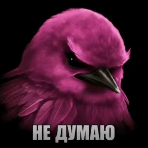 🫤 Стикер «вряд ли птички» для Telegram