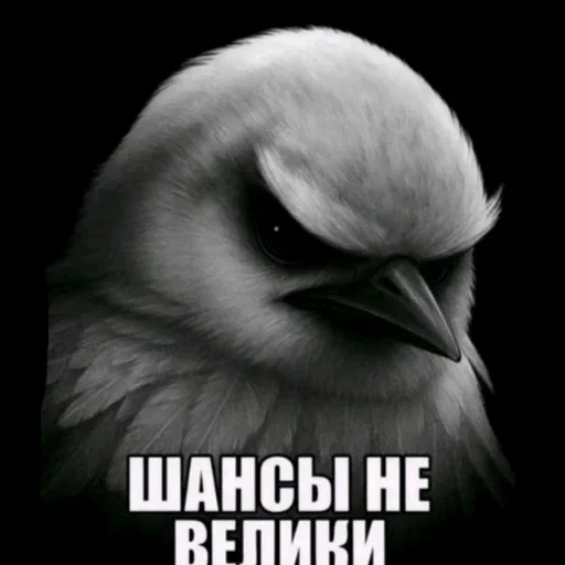 🫤 Стикер «вряд ли птички» для Telegram