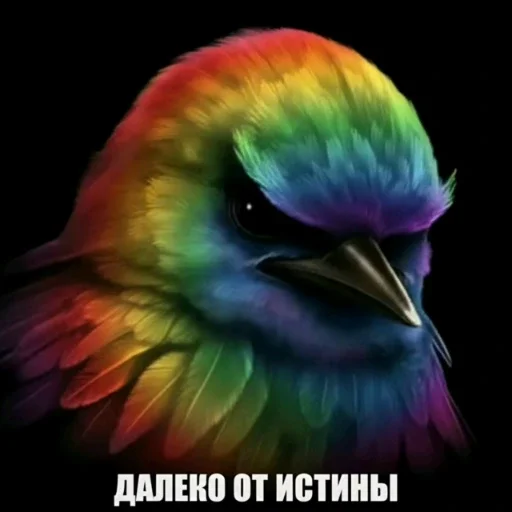 🫤 Стикер «вряд ли птички» для Telegram