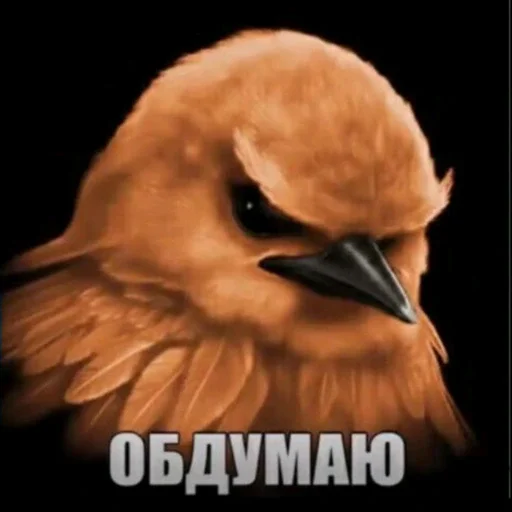 🫤 Стикер «вряд ли птички» для Telegram