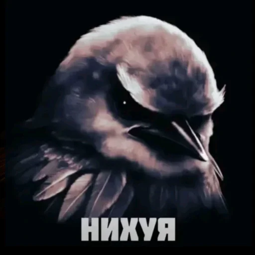 🫤 Стикер «вряд ли птички» для Telegram