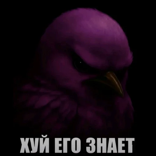 🫤 Стикер «вряд ли птички» для Telegram
