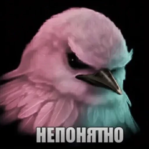 🫤 Стикер «вряд ли птички» для Telegram