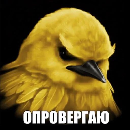 🫤 Стикер «вряд ли птички» для Telegram