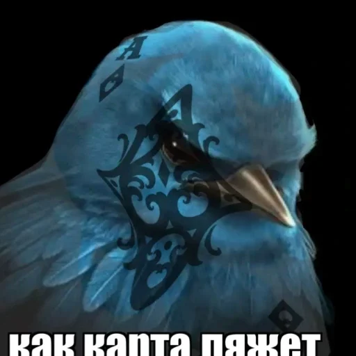 🫤 Стикер «вряд ли птички» для Telegram