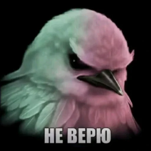 🫤 Стикер «вряд ли птички» для Telegram