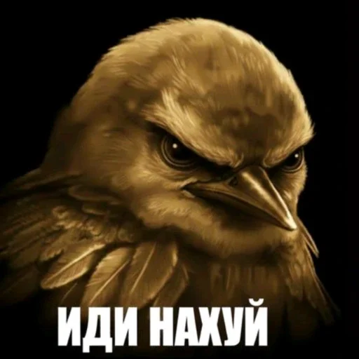 🫤 Стикер «вряд ли птички» для Telegram