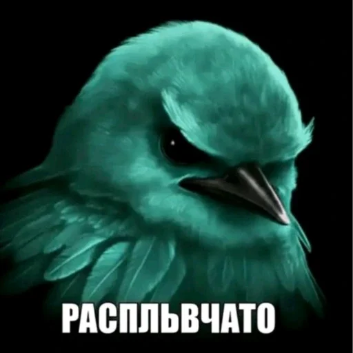 🫤 Стикер «вряд ли птички» для Telegram