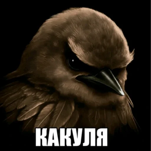 🫤 Стикер «вряд ли птички» для Telegram