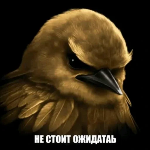 🫤 Стикер «вряд ли птички» для Telegram