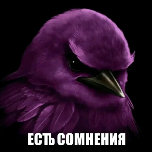 🫤 Стикер «вряд ли птички» для Telegram