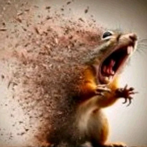 🐿️ Стикер «tiktok comment» для Telegram