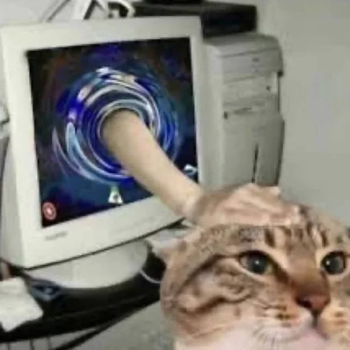 🐈 Стикер «tiktok comment» для Telegram