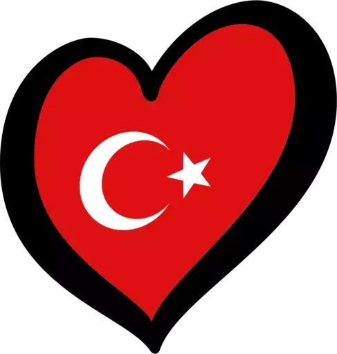 🇹🇷 Стикер «TIKTOK EUROVISION» для Telegram