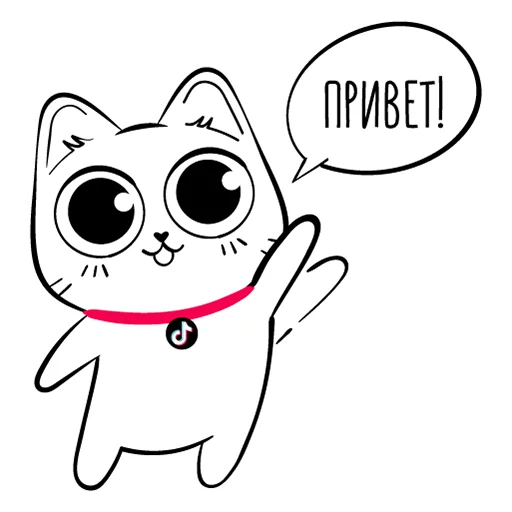 Стикерпак TikTok Kot для Telegram