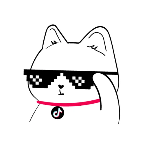 😎 Стикер «TikTok Kot» для Telegram
