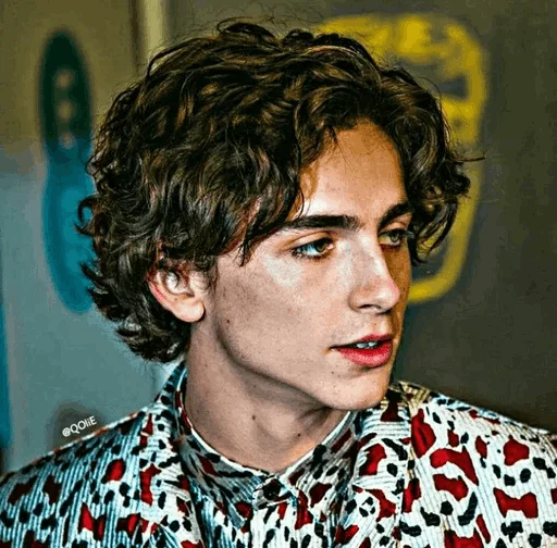 📯 Стикер «Timmy"» для Telegram