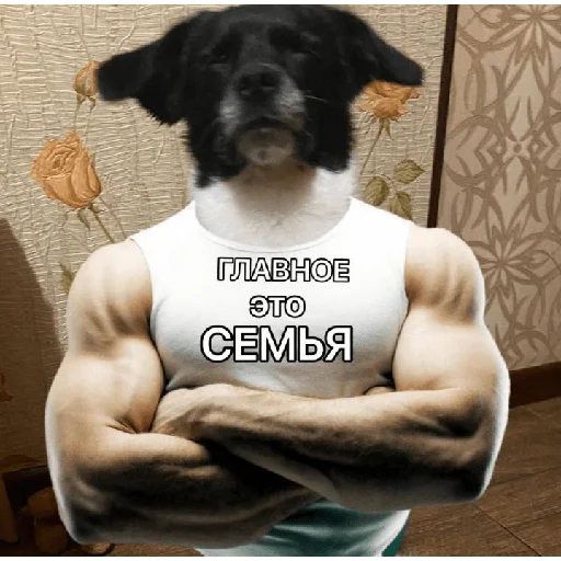 💪 Стикер «Timidi_Kopchik» для Telegram