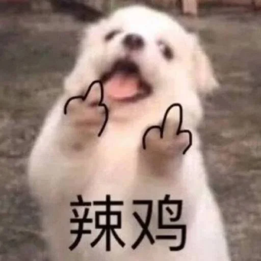 ❤️ Стикер «猫四的表情包» для Telegram