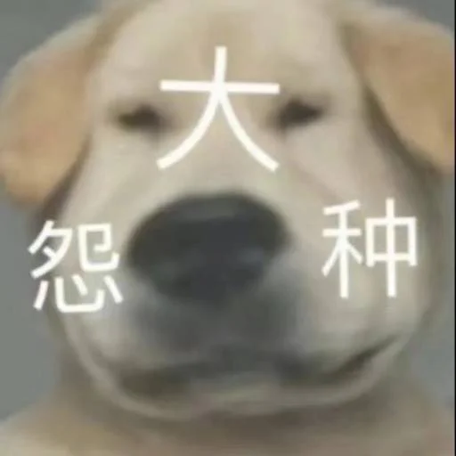 ❤️ Стикер «猫四的表情包» для Telegram