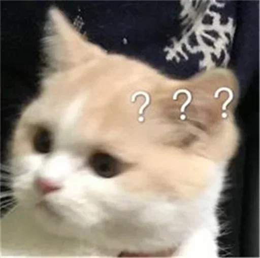 ❤️ Стикер «猫四的表情包» для Telegram