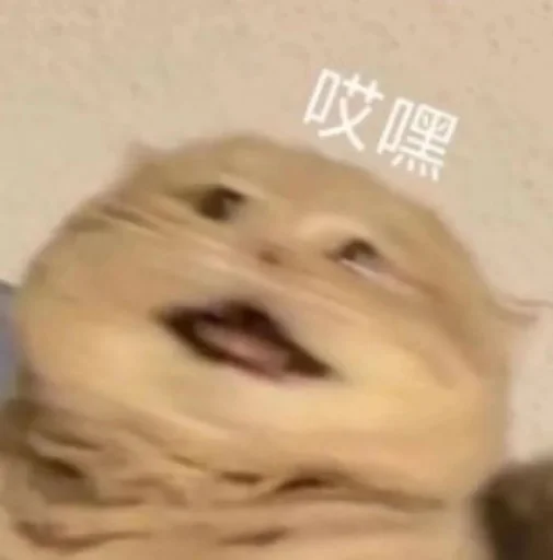 ❤️ Стикер «猫四的表情包» для Telegram