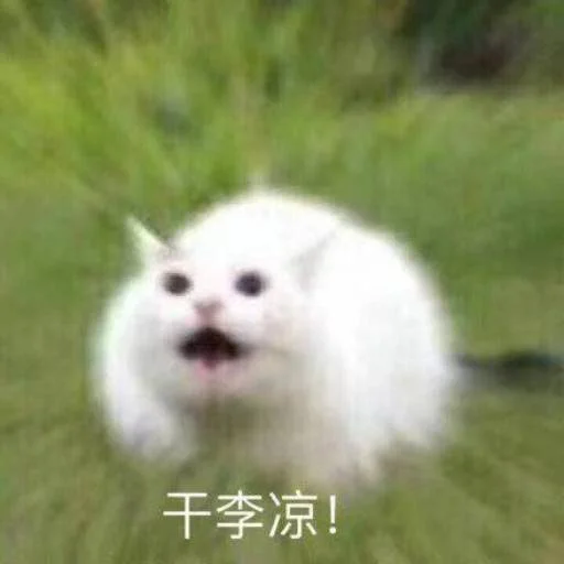 ❤️ Стикер «猫四的表情包» для Telegram